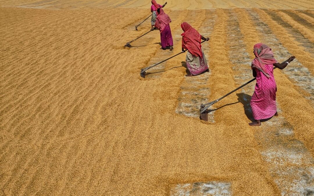 To Prosper, India Must Close Its Gender Employment Gap